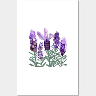 Lavender Posters and Art